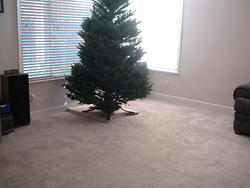 Undecorated tree added